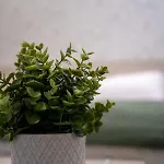 بيت ضيافة Dragonfly
