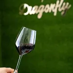 Dragonfly بيت ضيافة 3*