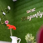 Dragonfly 3*