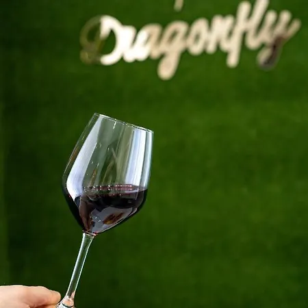Dragonfly Konukevi 3*