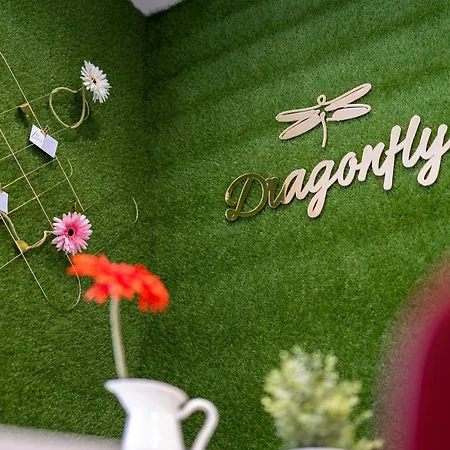 Dragonfly 3*
