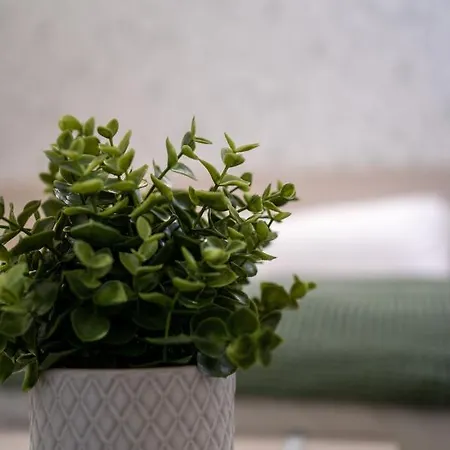 بيت ضيافة Dragonfly