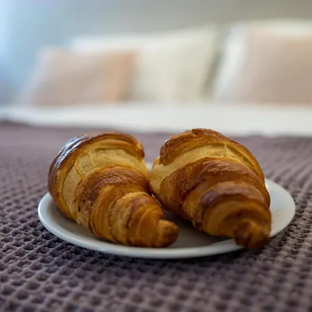 Dragonfly Motta Montecorvino